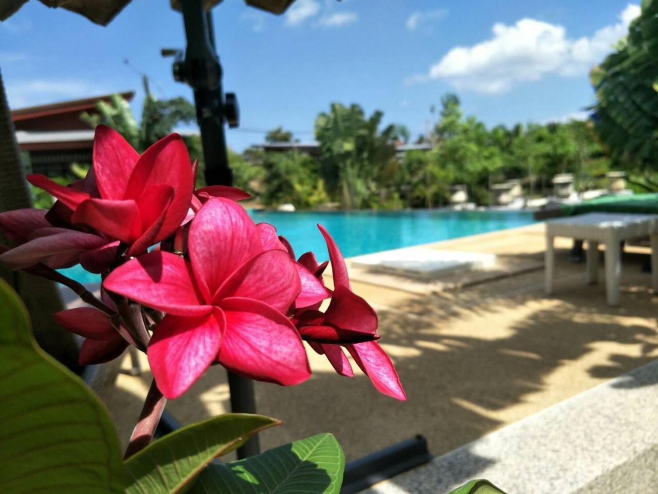 Arthaya Villas - Sha Extra Plus Koh Lanta Ngoại thất bức ảnh